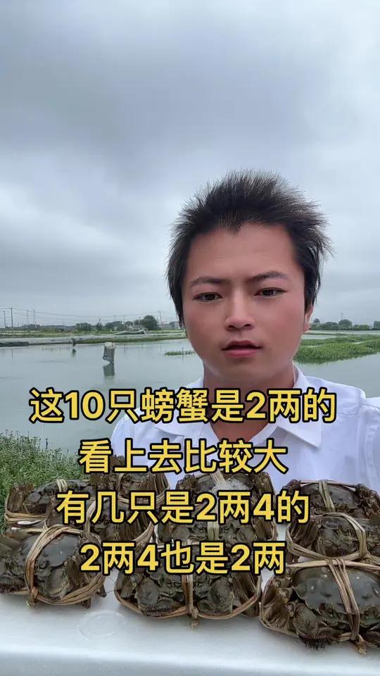 这10只螃蟹是2两的 看上去比较大 有几只是2两4的 2两4也是2两