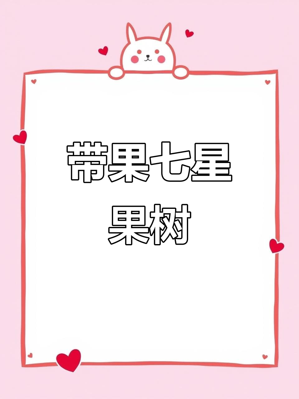 鸡心果大树带果发货,脆甜可口,原盆原土养护更方便