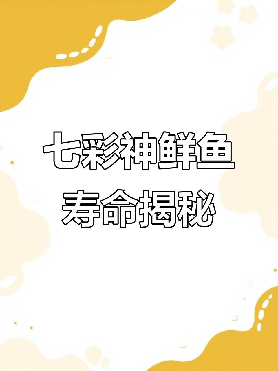 七彩神仙鱼的寿命有多长?家庭饲养能活多久