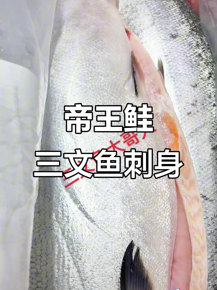 新西兰帝王鲑三文鱼,13斤大块美味来袭