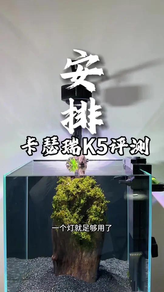 想让鱼缸出片？不吹不黑，给你一个参考｜卡瑟瑞鱼缸灯真实评测！评论互动有惊喜！