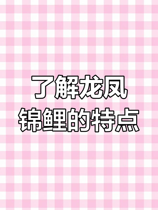 龙凤锦鲤:独特外形与吉祥象征的完美结合