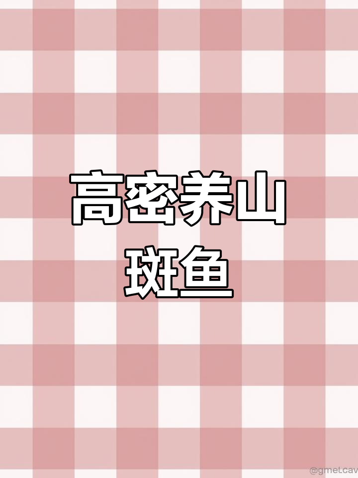 山斑鱼的高密度养殖模式