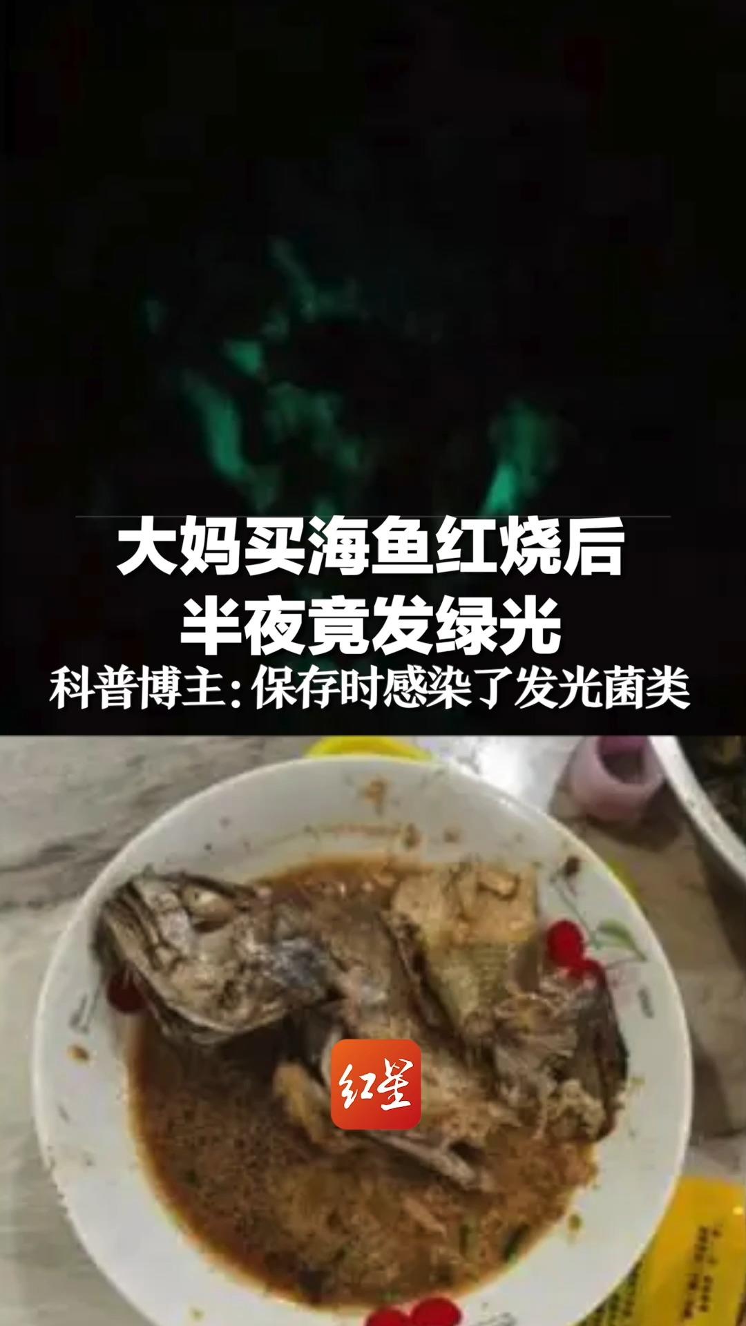 大妈买海鱼红烧后,半夜竟发绿光,科普博主:保存时感染了发光菌类