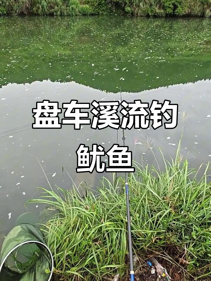 气温骤降,溪流钓鱿鱼棒技巧大揭秘
