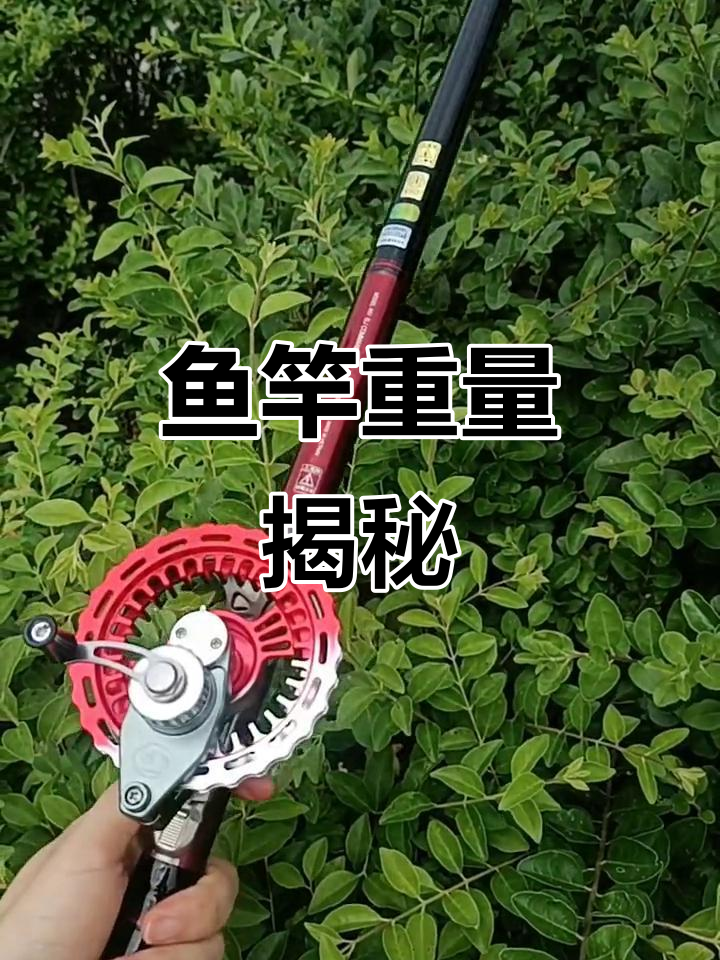 成都粉丝定制6.3米鱼竿，详细解析各部件重量