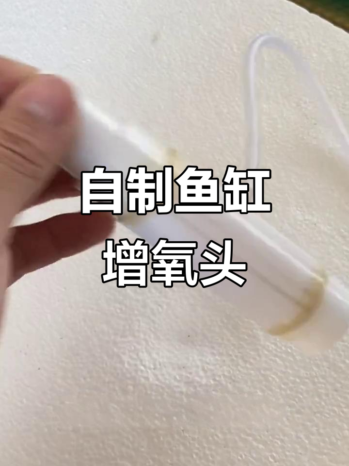 几块钱DIY鱼缸增氧头,简单步骤搞定