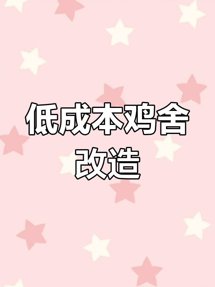 免费为100个养户升级改造鸡舍,低成本高效设计