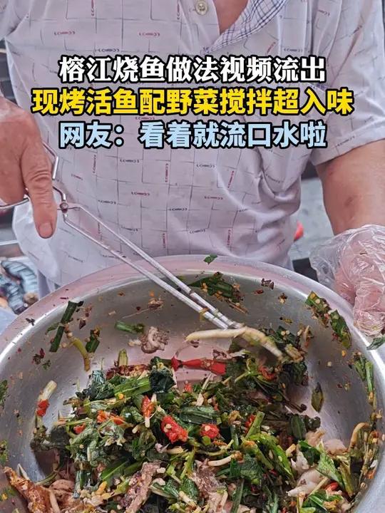 榕江烧鱼做法视频流出,现烤活鱼配野菜搅拌超入味。网友:看着就流口水啦!(摄制:陈翠婷 石翠