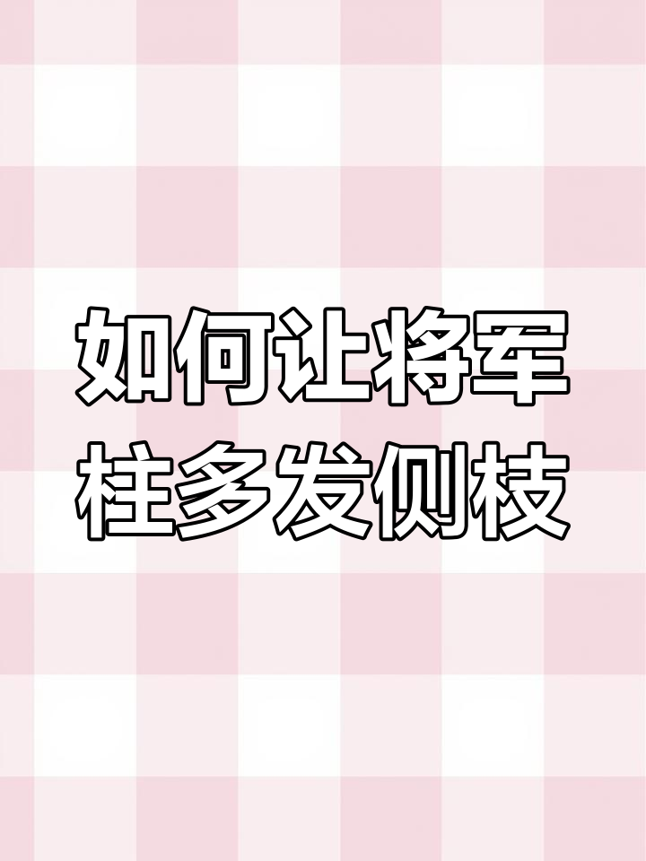 将军柱修剪后如何养护,快速萌发多头小芽