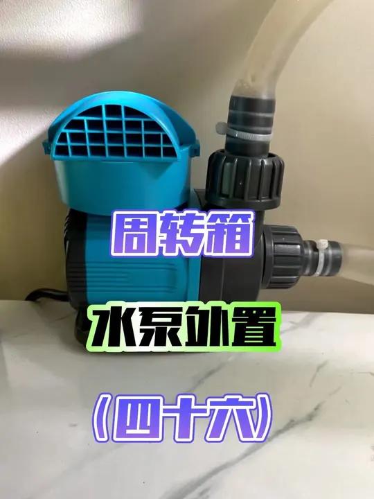 从0开始学养鱼「第四十六节」周转箱如何把水泵放到鱼缸外面,水泵外置,需要准备哪些东西?新手