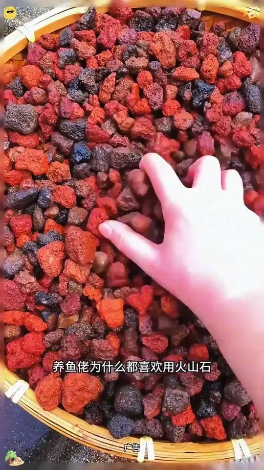 火山石鱼缸造景底砂
