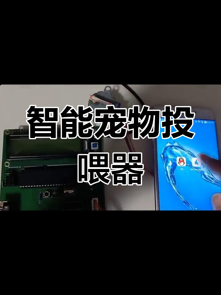 基于单片机的宠物投喂系统设计