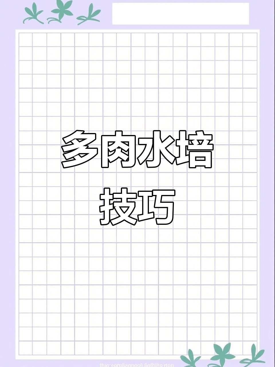 水培多肉，轻松搞定！玻璃瓶教程来啦