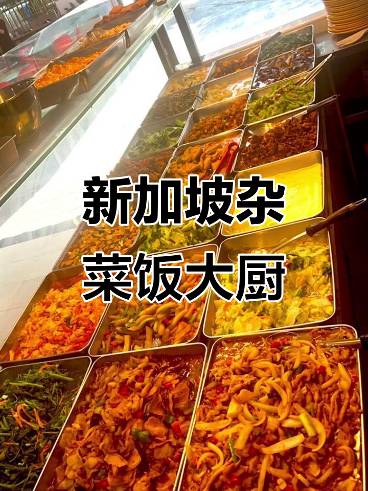 新加坡杂菜饭厨师的独特技艺,美味满满一锅