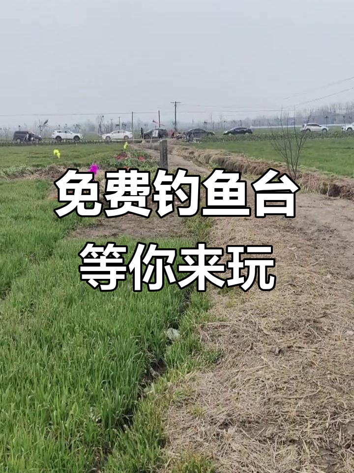 天东村免费钓鱼台,轻松钓获鲫鱼等品种