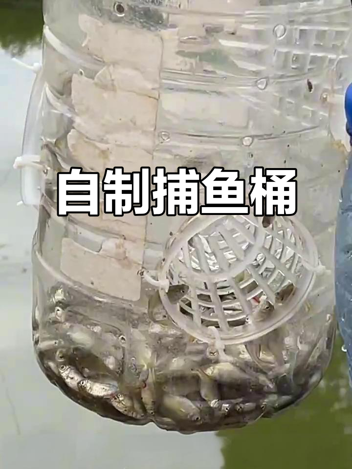 用废弃油桶和倒须,轻松打造捕鱼神器!