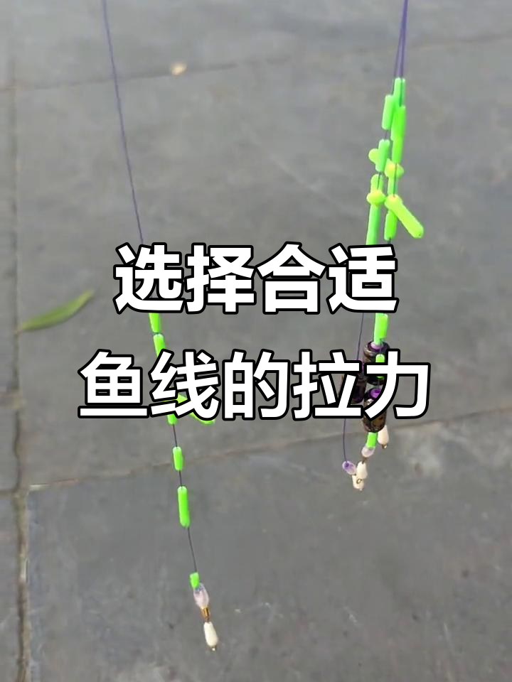 鱼线拉力如何选择?从零点八号到二点零号的适用范围