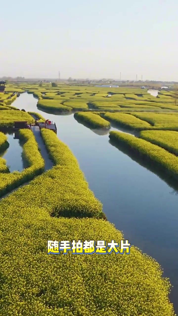 兴化保姆级攻略，菜花早茶水上森林全安排