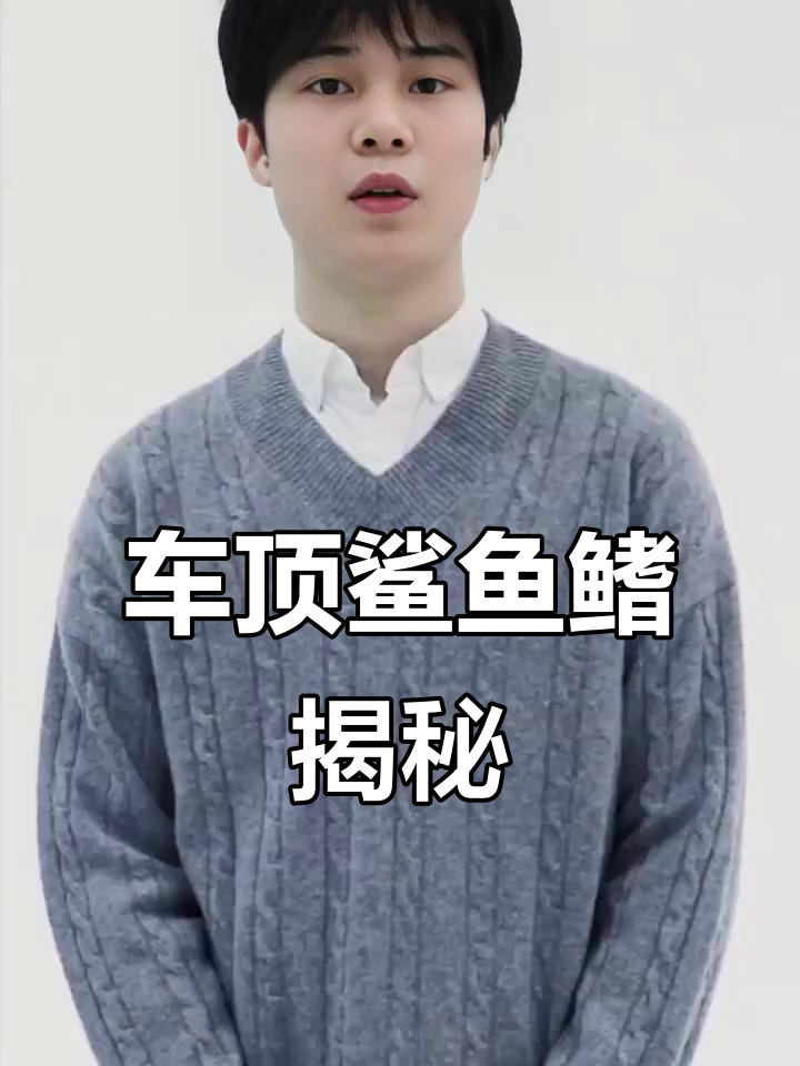 宝马车尾的鲨鱼鳍,原来有这样的神秘功能!