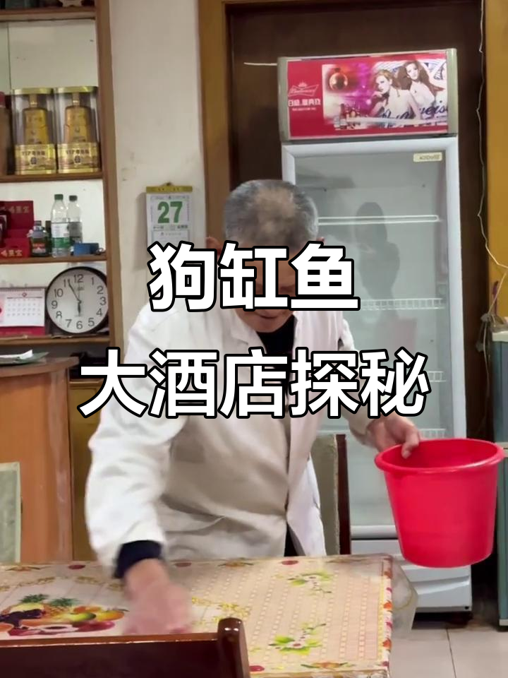 东营狗缸鱼大酒店:杨大厨的直性子与红烧美味