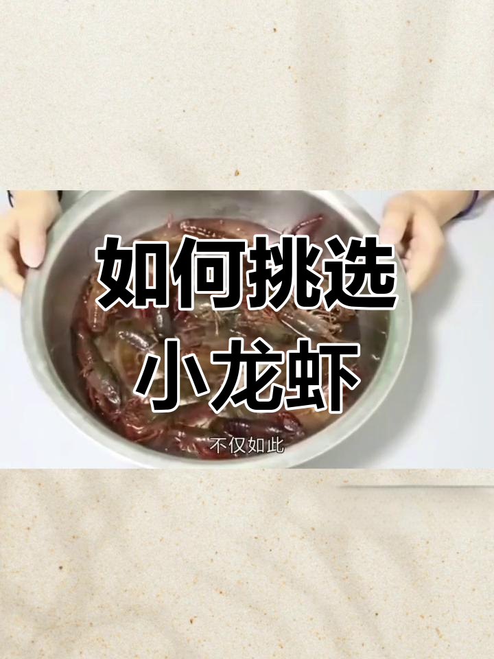 青虾与红虾的差异解析