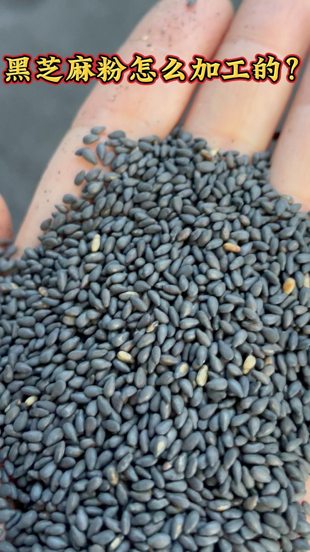 芝麻粉是怎么加工出来的?离不开一台多功能全自动电磁滚筒炒货机