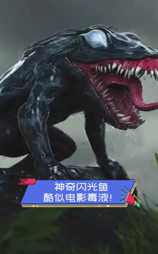 神奇闪光鱼,酷似电影毒液!