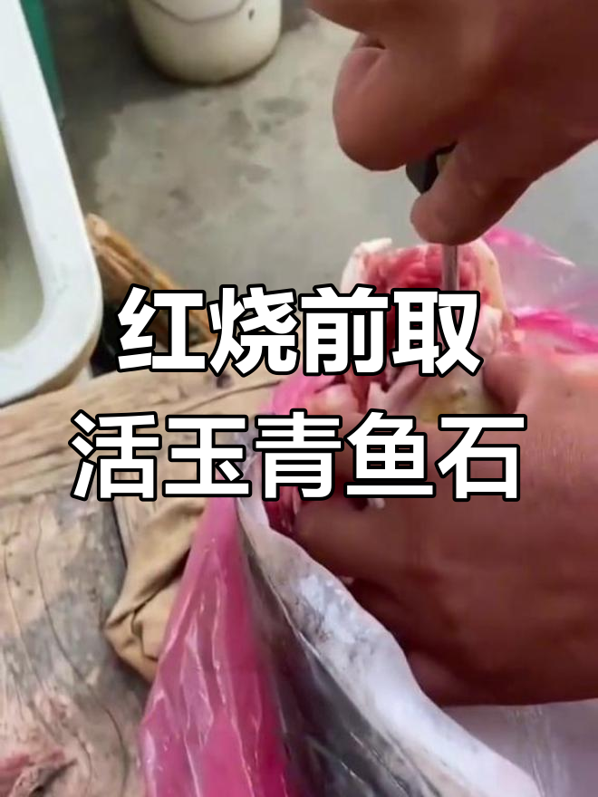 青鱼石加工与保养全攻略