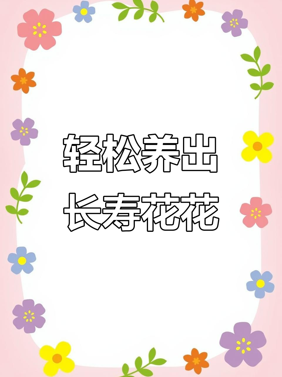 长寿花爆花开,彩红冰淇淋般的美丽