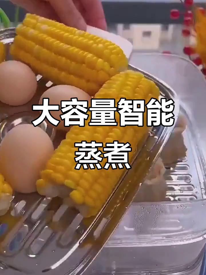 苏泊尔大容量电蒸锅,智能预约,多功能一体