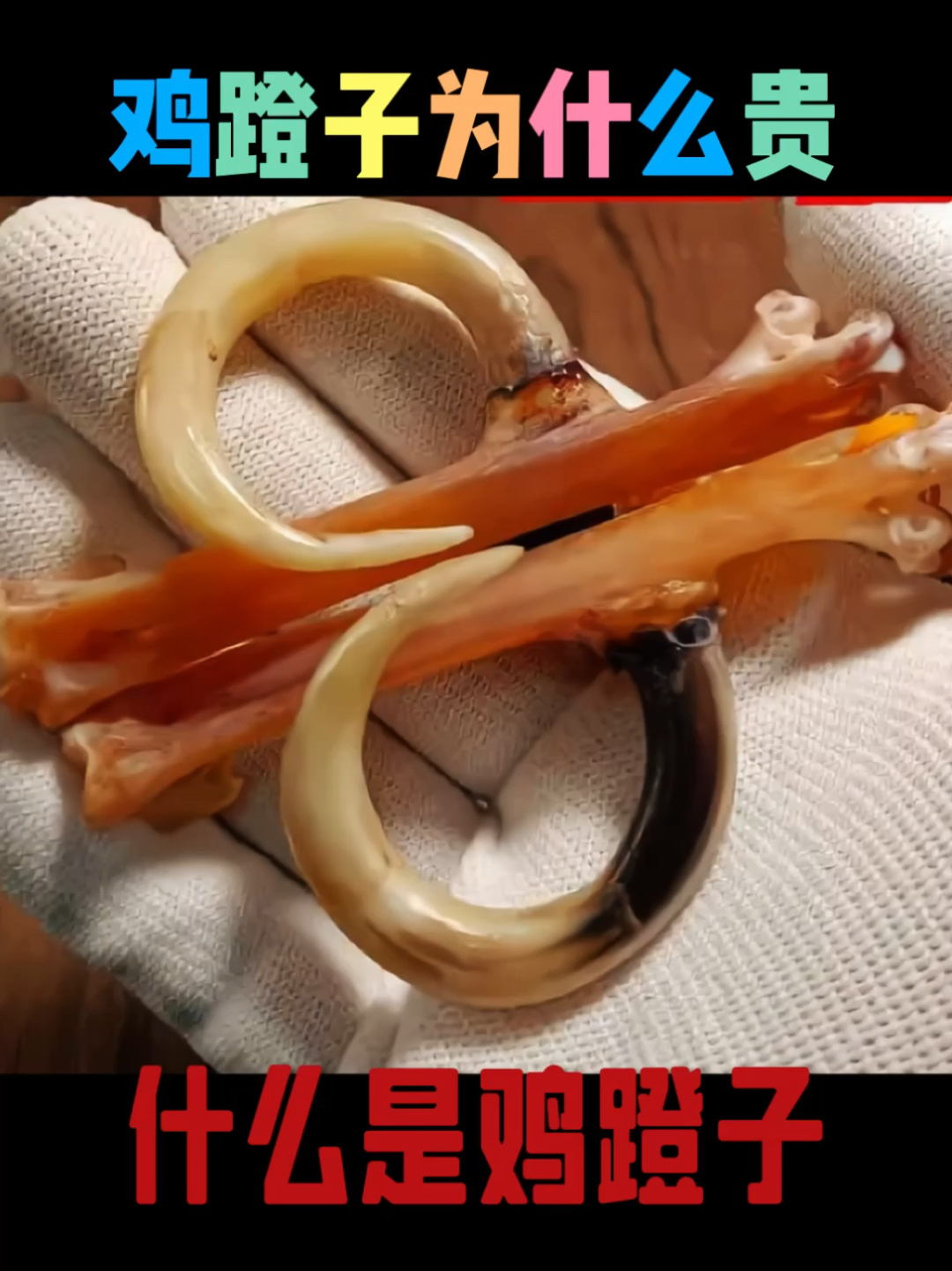 鸡蹬子为什么贵