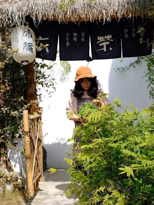 好春光,不如吃一场|新昌草籽年糕