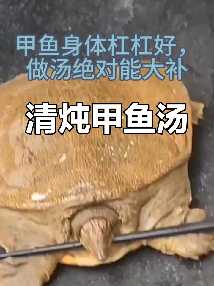 董立兵烤鸭店甲鱼汤,清炖黄焖任你选