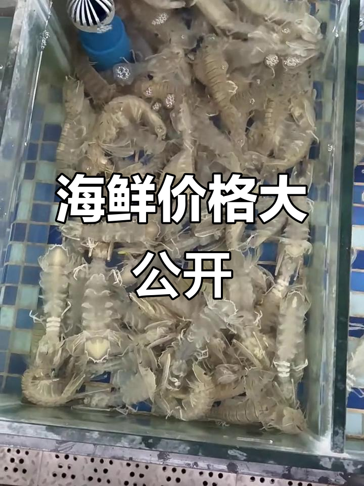 皮皮虾、大龙虾价格揭秘,看看这些海鲜到底值多少钱