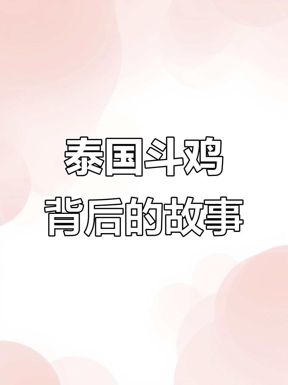 泰国斗鸡文化揭秘:公鸡的“二逼”与IB身份