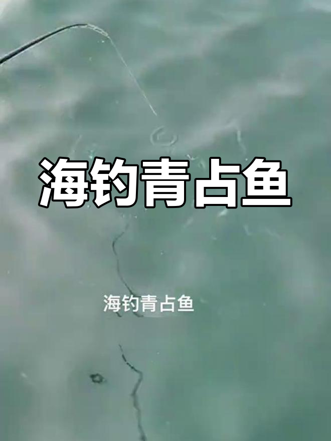 钓鱼新体验:海钓青占鱼,三发五连串