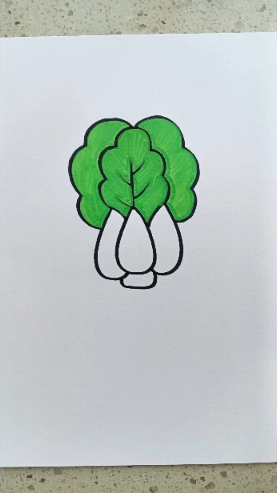 简单又好看的白菜简笔画
