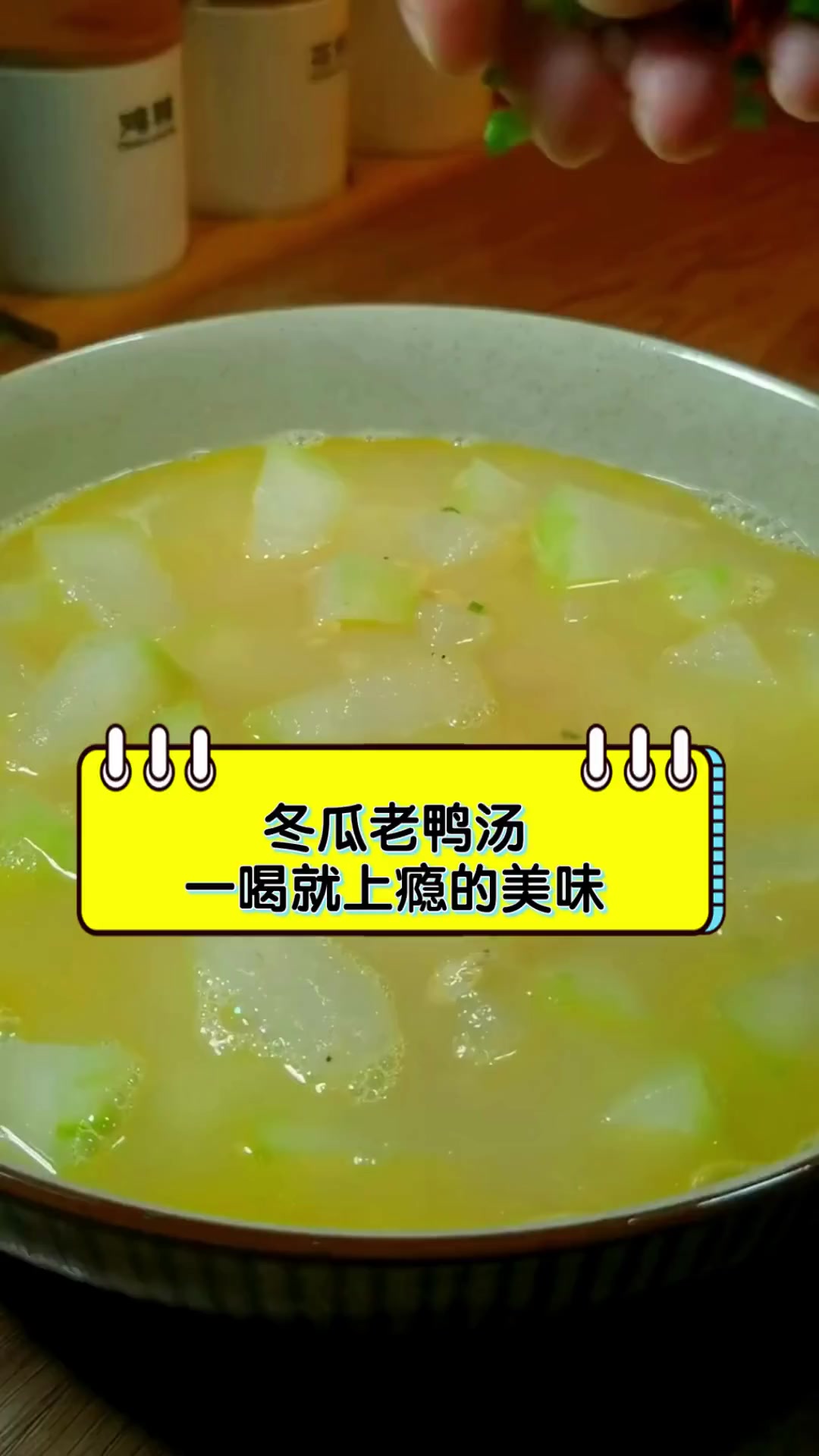 冬瓜老鸭汤,一喝就上瘾的美味
