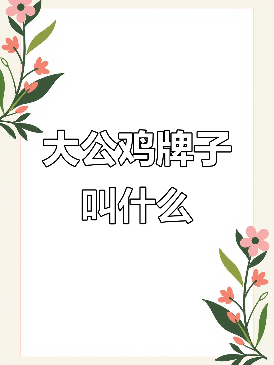 韩国大公鸡品牌,你了解吗?