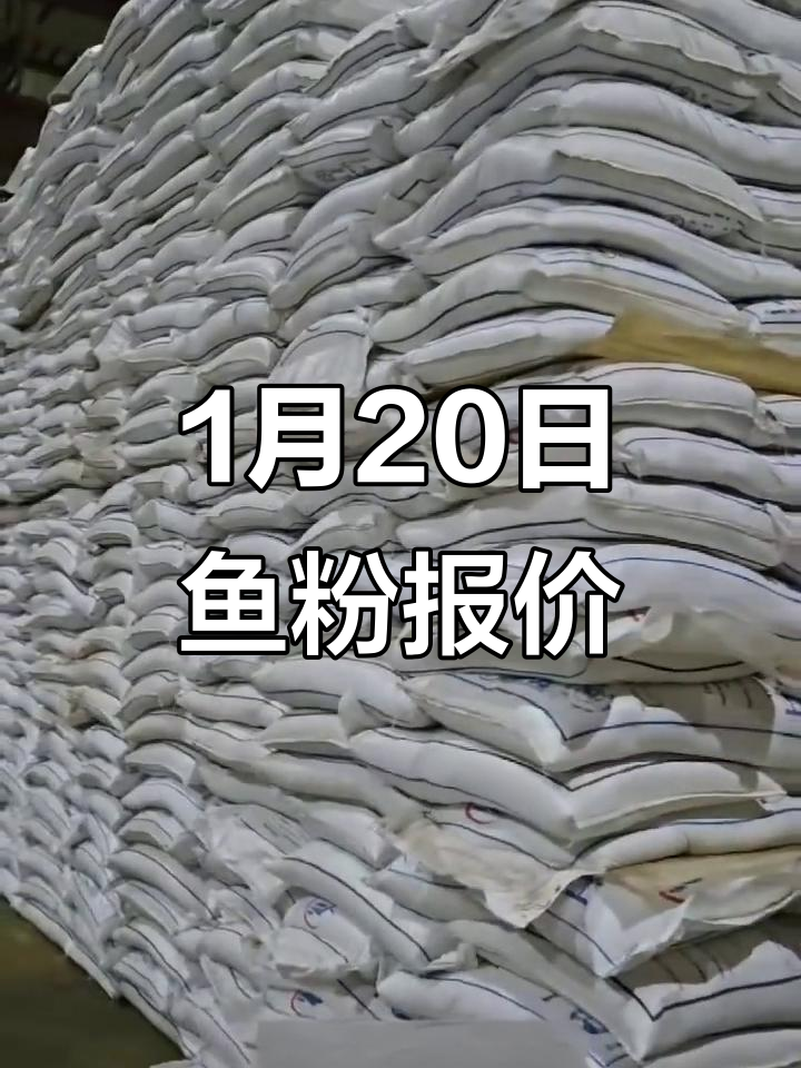 1月20日全球鱼粉价格一览,秘鲁、厄瓜多尔等国行情解析
