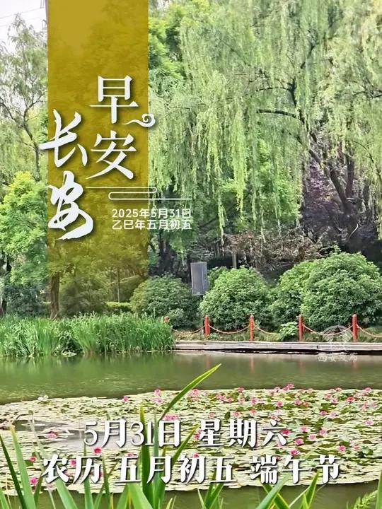 5月31日,星期六。早餐要吃,梦想要追,别让昨天的雨,淋湿你心中的太阳