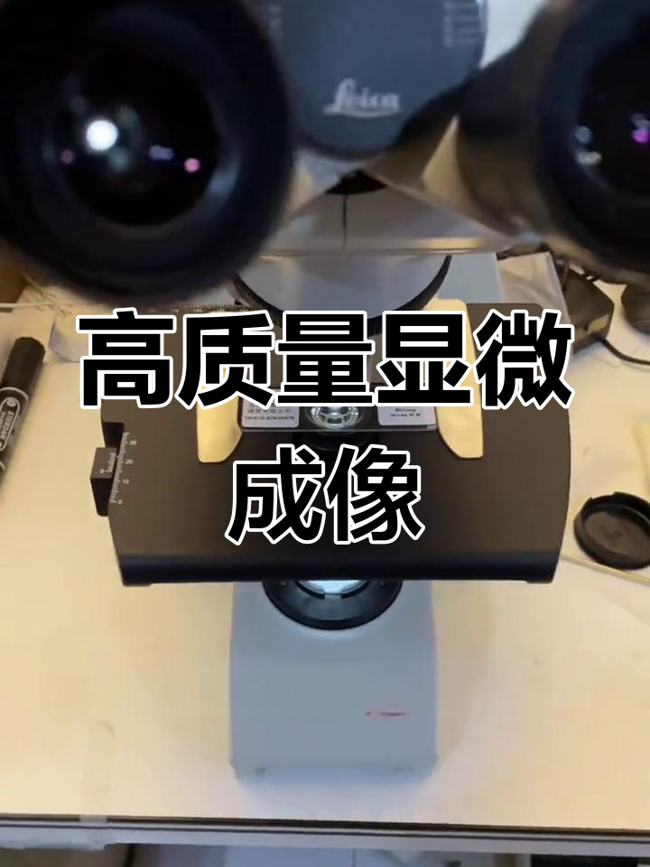 莱卡DM500显微镜:虾幼虫切片观察