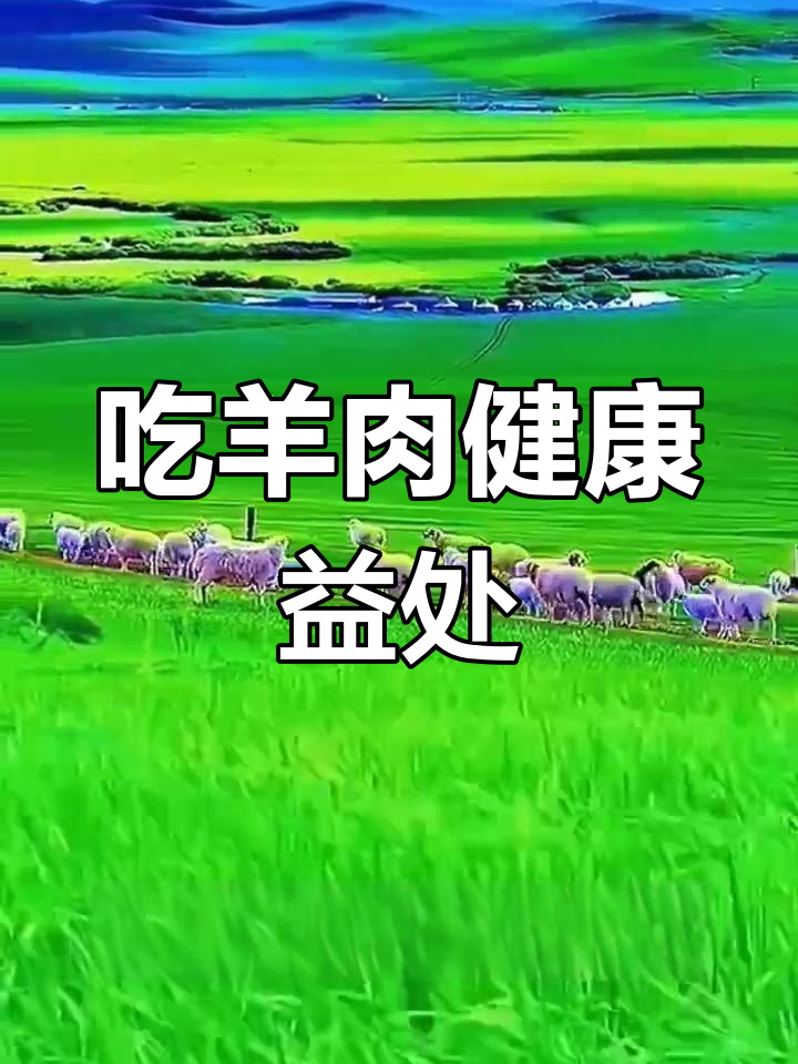 羊肉的营养与功效,冬季补品首选