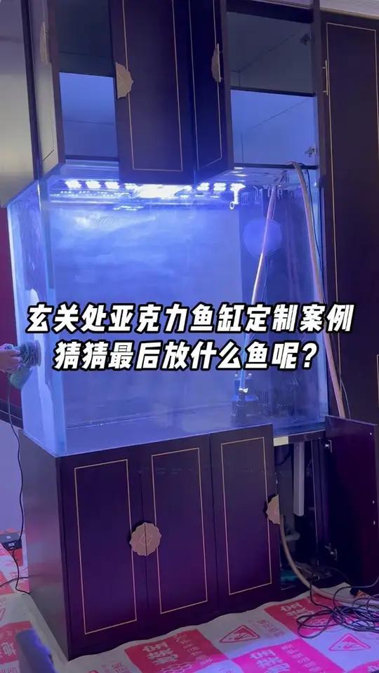 玄关柜+亚克力鱼缸一体设计案例，猜猜最后放什么鱼