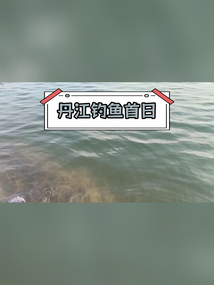 南阳淅川丹江守钓大青鱼,第一天打窝300斤螺丝
