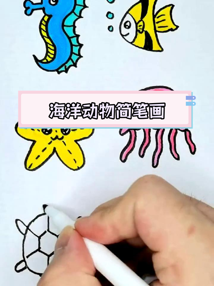 6种海洋生物简笔画,轻松学会!