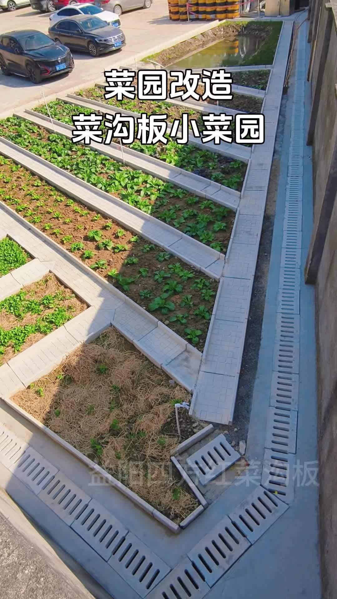 菜沟板 农村菜园设计 小菜园 我的田园生活 菜园改造