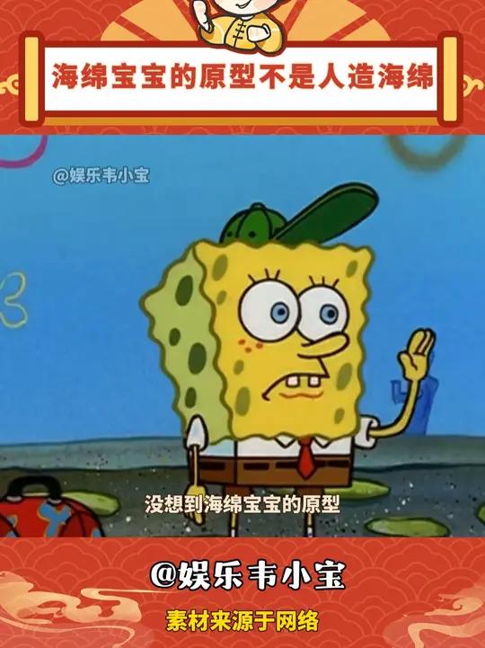 海绵宝宝的原型不是人造海绵