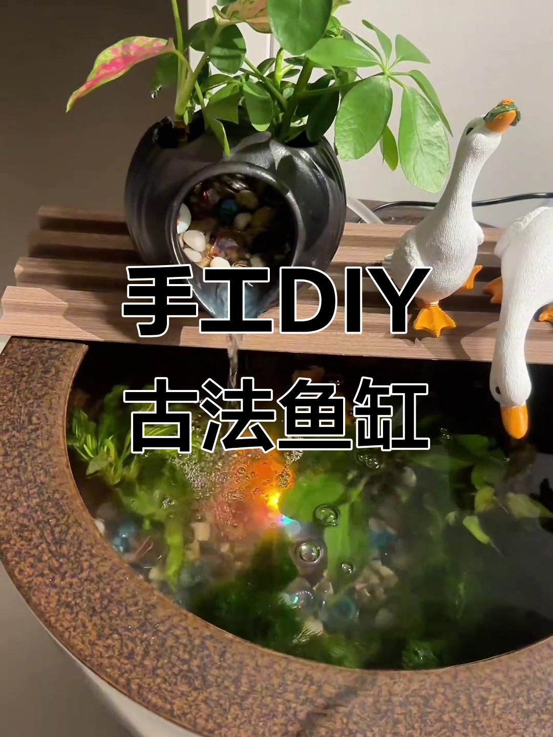 自制古法鱼缸,打造迷你水景世界